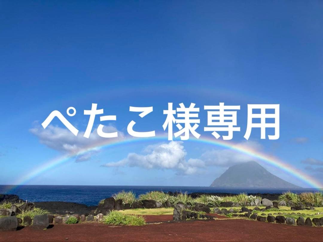 ぺたこ ベアブリック　バスキア#7